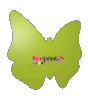 Firmenschild in Schmetterling-Form konturgefräst, einseitig 4/0-farbig bedruckt